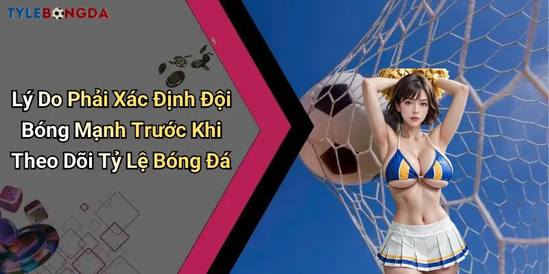 Lý Do Phải Xác Định Đội Bóng Mạnh Trước Khi Theo Dõi Tỷ Lệ Bóng Đá