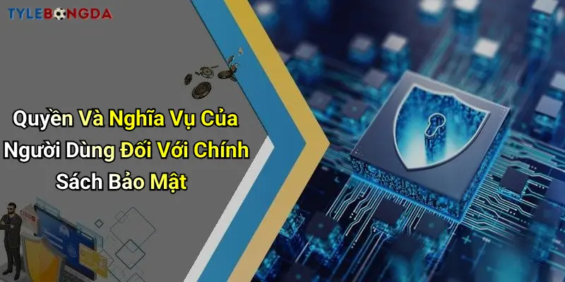 Quyền Và Nghĩa Vụ Của Người Dùng Đối Với Chính Sách Bảo Mật