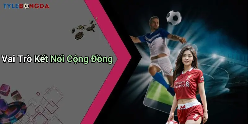 Vai Trò Kết Nối Cộng Đồng