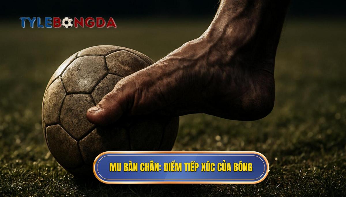 Mu bàn chân_ Điểm tiếp xúc Vàng của quả bóng