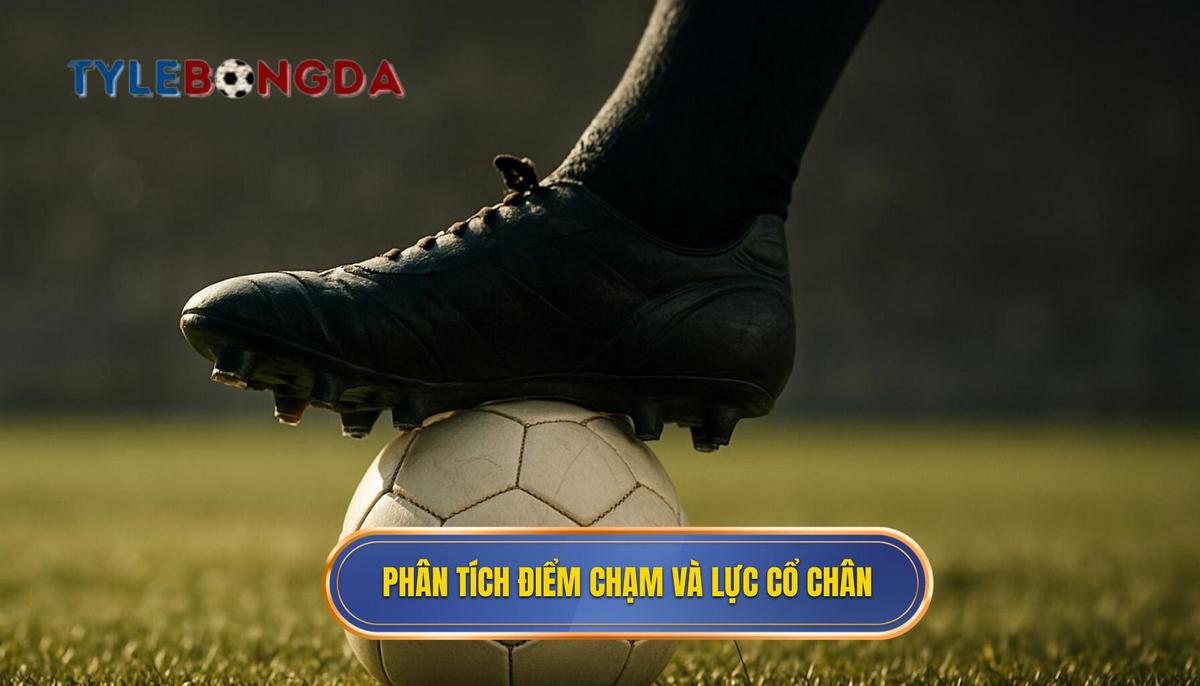 Phân tích chi tiết điểm chạm và lực cổ chân