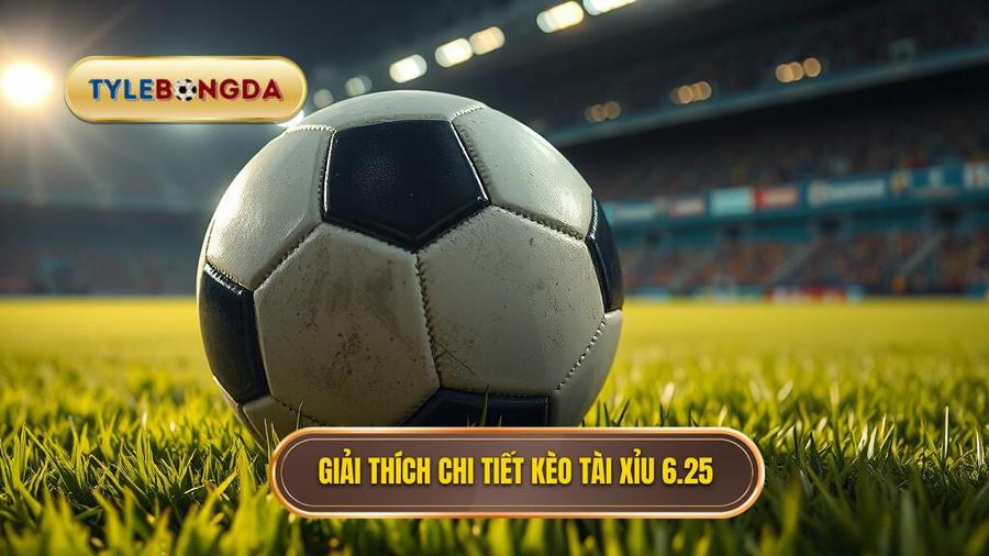  Giải thích chi tiết kèo tài xỉu 6.25