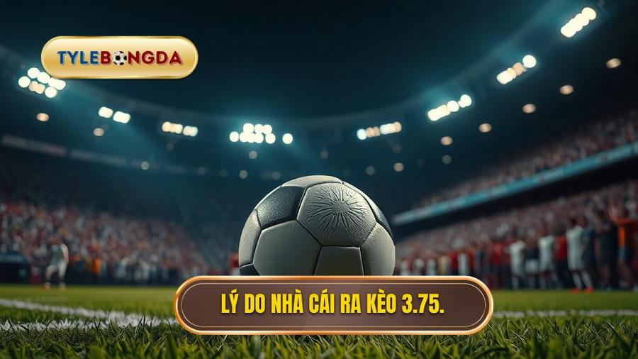  Lý do nhà cái ra kèo 3.75.
