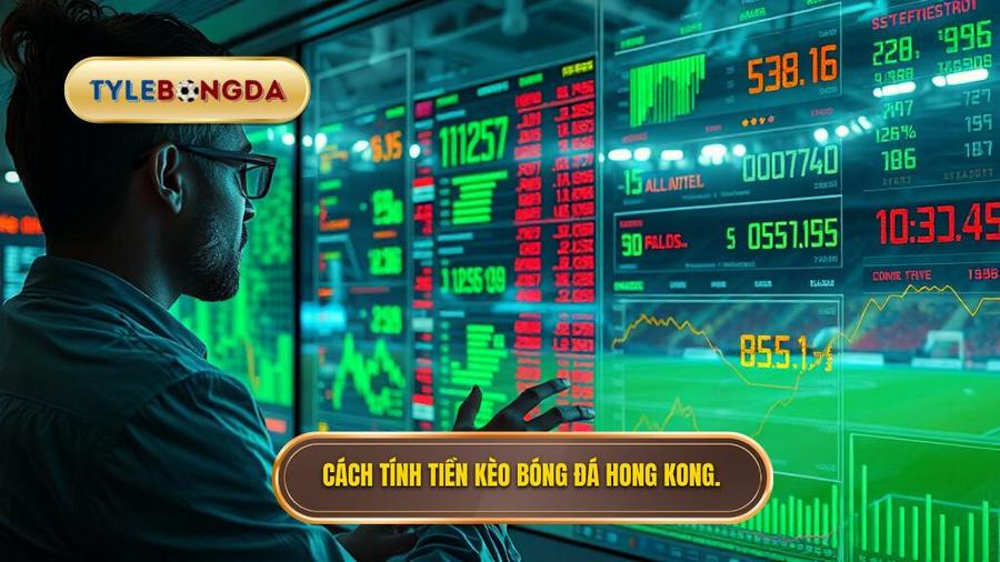 Cách đọc và tính tiền Kèo bóng đá Hong Kong chi tiết