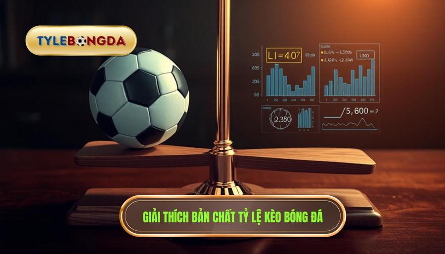 Giải thích bản chất tỷ lệ kèo bóng đá